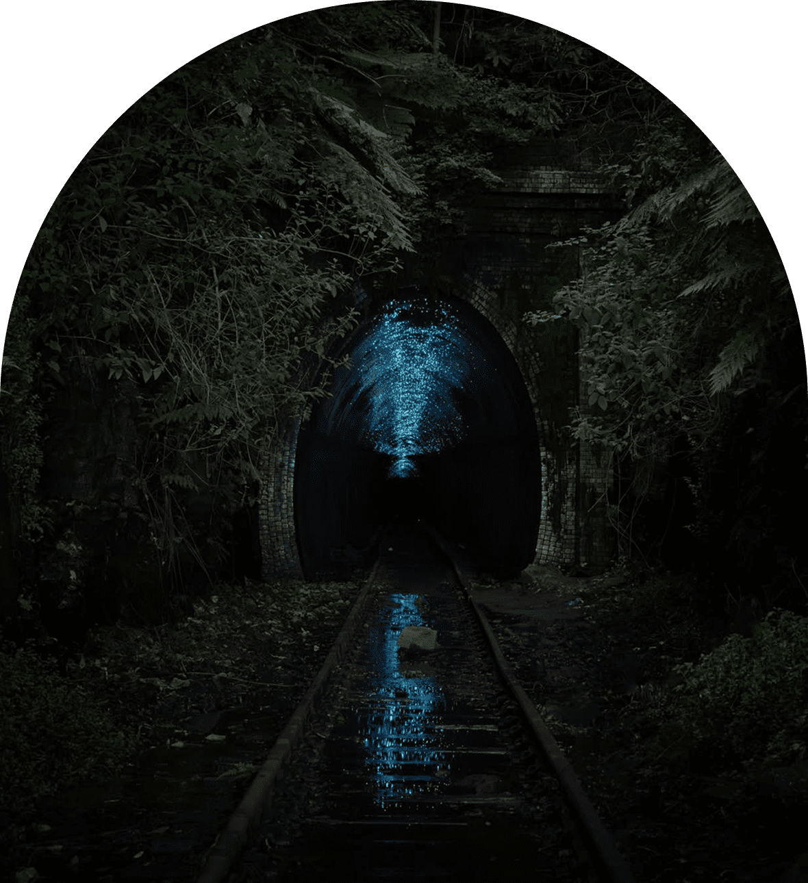 6923fd56f3cd6_Glow worm tunnels, Helensburgh 1