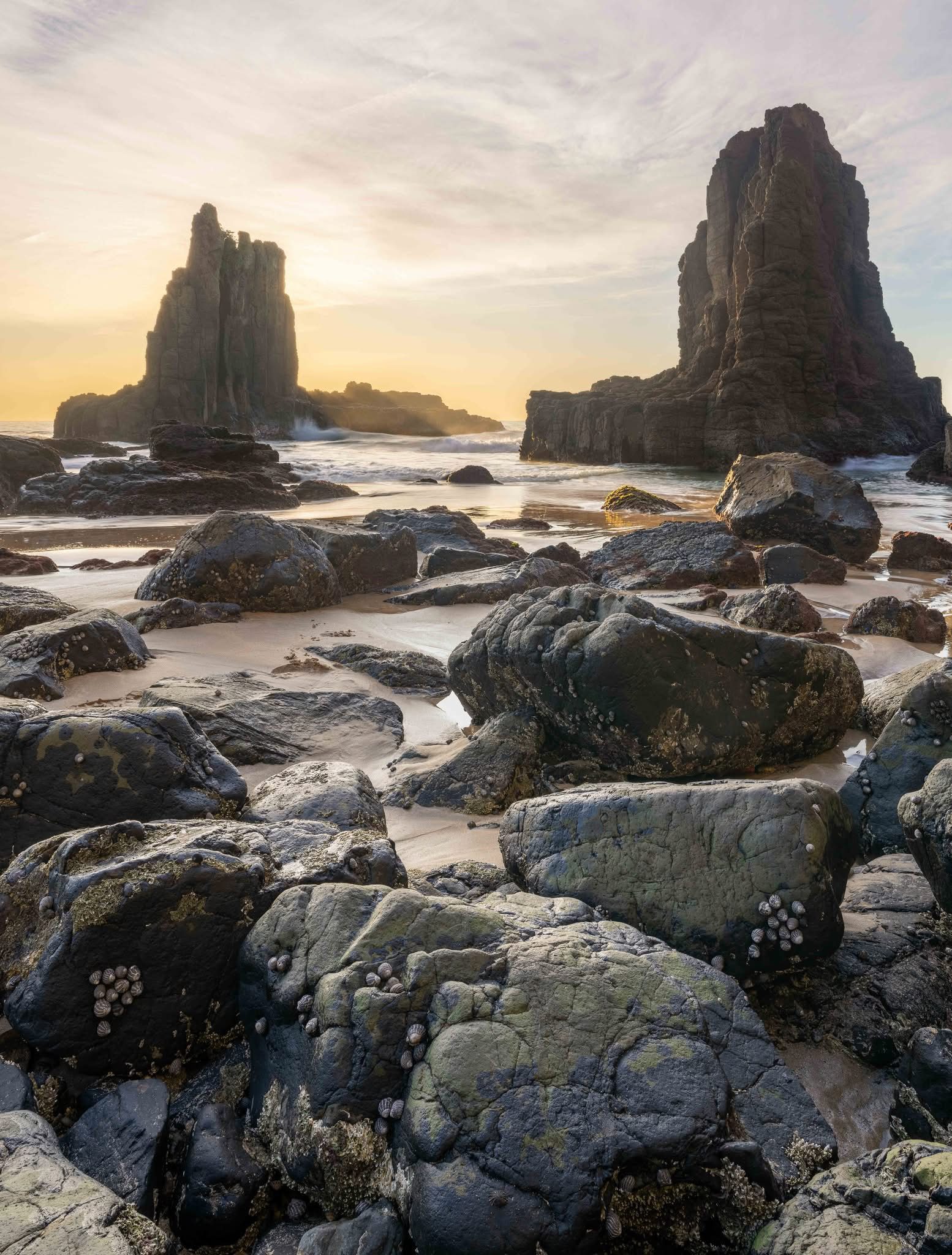 69367a0531f2f_IMG_0244