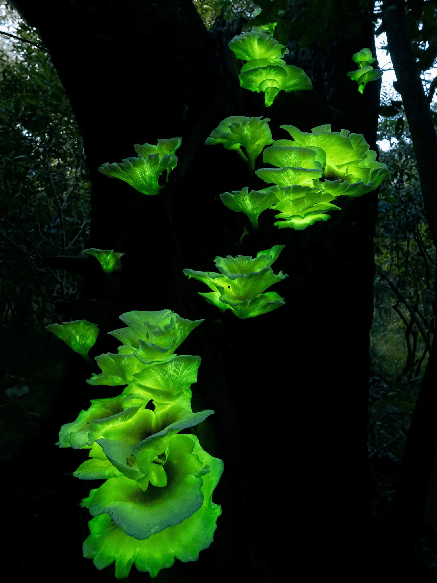 <b>Image credit</b>: Keith Horton Photography