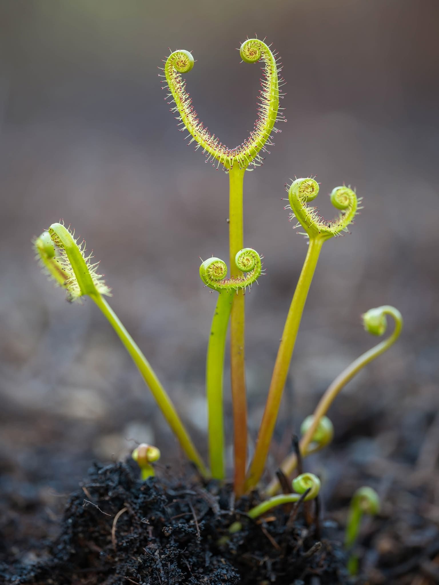 <b>Image credit</b>: Keith Horton Photography