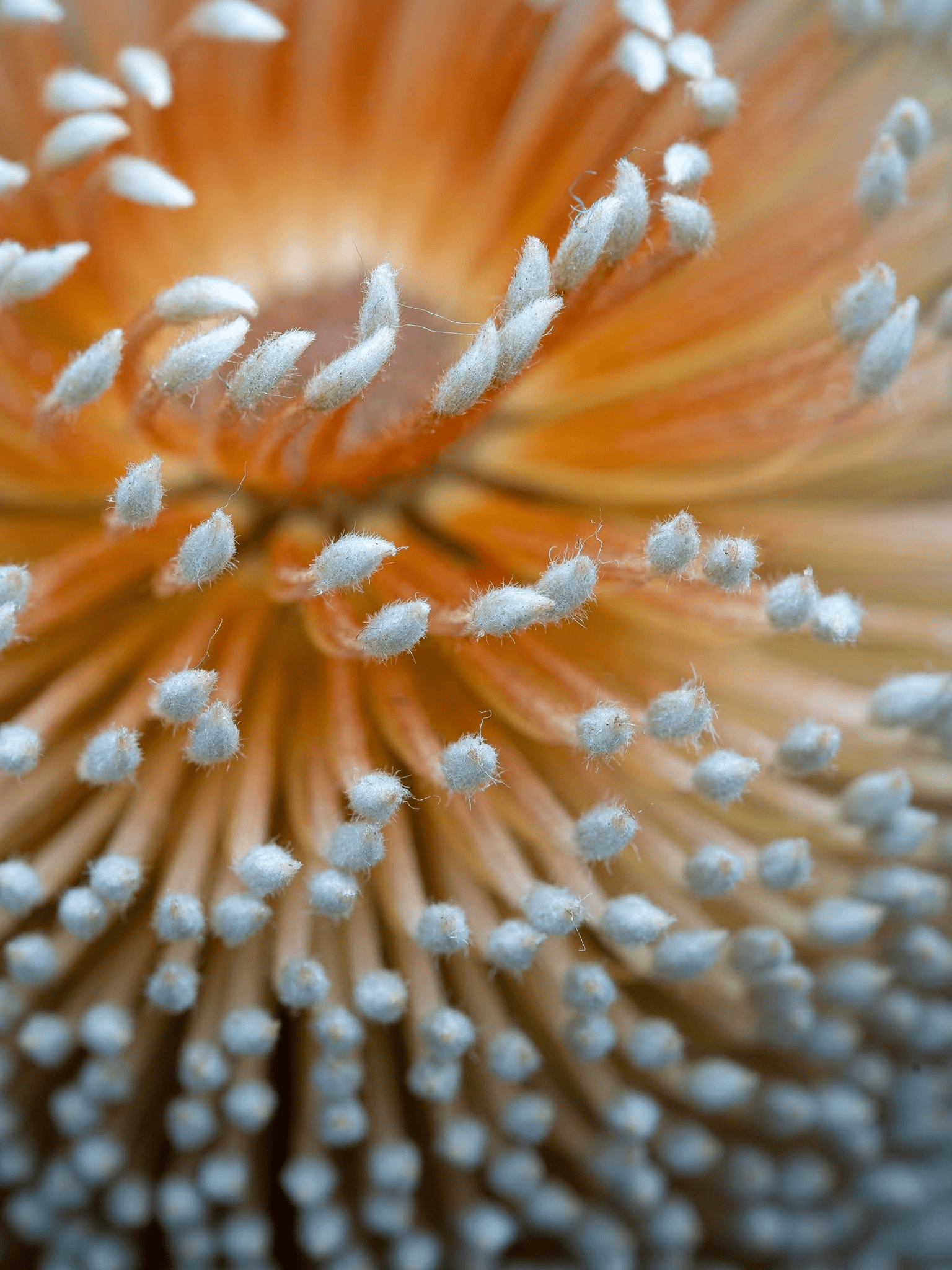 <b>Image credit</b>: Keith Horton Photography